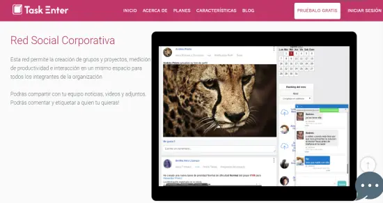 ¿Comunicación tecnológica?