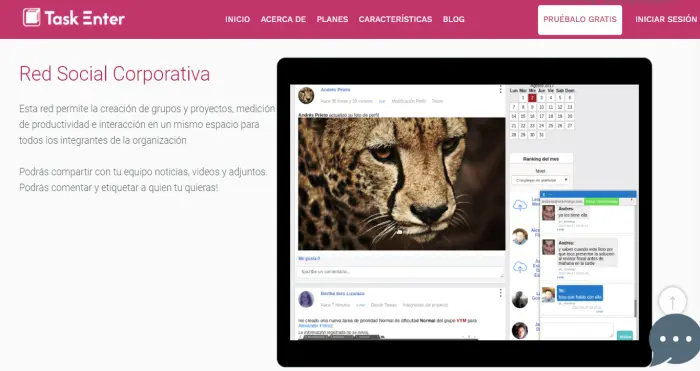 ¿Comunicación tecnológica?